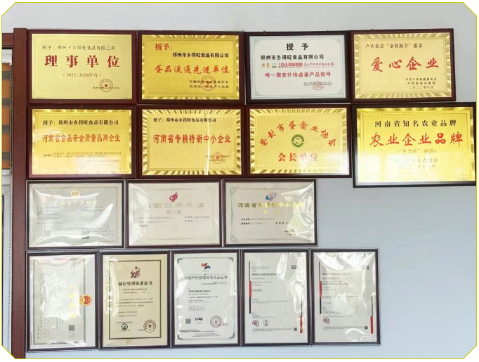 2121非凡·(中国游)体育官方网站